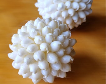 Elegant White Shell Balls Decorations - 9cm/7cm - Ideal for Winter Wedding, Christmas Table Centerpieces and Coastal Seaside Home Decor