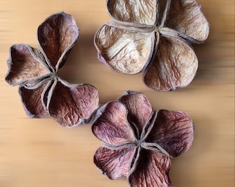 LAND LOTUS FLOWERS - Natural Dried Fruit for Rustic Home Decoration, Crafts, Wreath Making, Floristry Bouquets, Boho Decor, Floral Art Decor