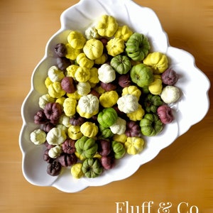 Putka Pods Mini Baby Pumpkin Mix Yellow White Green & Brown for Craft Decoration Potpourri Wreath Card Making Autumn Winter Halloween