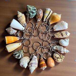 Juego de 3 llaveros de concha natural, 5 o 10 llaveros de concha hechos a mano, regalo costero