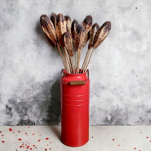 May include: A red metal vase with a wooden handle filled with dried brown flower stalks against a grey concrete background.