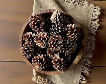 Natural UK Foraged Pine Cones Pack of 10 15 20 or 25 Christmas Crafts
