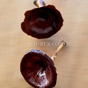 Pu&ograve; includere: Due ornamenti in ceramica a forma di fungo di colore marrone con una finitura liscia e lucida. Gli ornamenti sono di colore marrone scuro con una leggera sfumatura rossastra. La parte superiore degli ornamenti &egrave; leggermente appuntita e la parte inferiore &egrave; arrotondata. Gli ornamenti sono su una superficie di colore marrone chiaro.