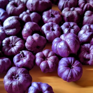 Miniature PUMPKINS, PUTKA PODS, Bowl Filler, Little Natural Baby Pumpkins Purple Perfect for Decorations Crafts Wreaths and Potpourri Favor