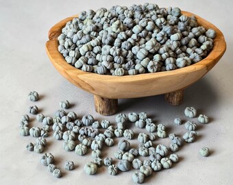 Grey Putka Pods | Dried Mini Pumpkins | Apothecary Jar, Bowl, Wreath and Modern Decor Filler