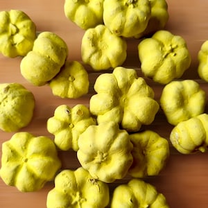 Yellow MINI PUMPKIN Pods – Dried Putka Pods for Crafts, Wreaths, Potpourri, DIY Home Decor, Autumn Bowl and Vase Decor, and Fall Decorations