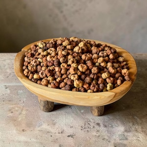 May include: A light brown wooden bowl with three short legs filled with a large collection of small, dried, round, and ribbed brown botanical seed pods. The bowl has a smooth, natural wood grain finish and an oval shape containing the many pods.