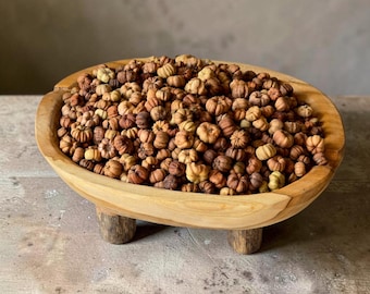 Pumpkin Spice Putka Pods | Dried Mini Pumpkins | Scented Potpourri for Bowls and Wreaths
