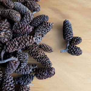 May include: A pile of dried brown pine cones on a light wood surface. The cones are arranged in a random pattern, with some overlapping.