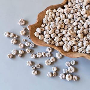 Puede incluir: Un cuenco de madera grande de forma orgánica lleno de numerosas calabazas pequeñas, secas y de color blanco roto. Varios de estos elementos botánicos secos y texturizados de color claro están esparcidos fuera del cuenco sobre la superficie.