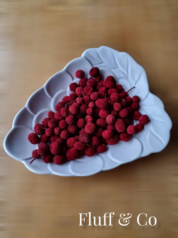 Bora Berries Red Dried for Craft Decoration Potpourri Etsy