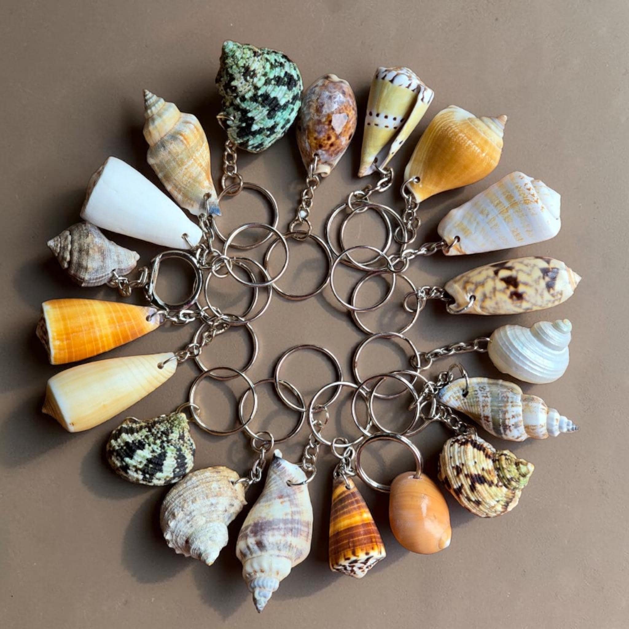 Seashell Keyring Set | Coastal Keychain | Beach Wedding Favors