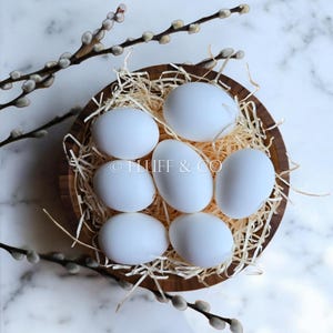 Blown Chicken Eggs: Natural White Eggshells for Easter Crafts