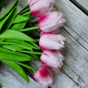 May include: A bouquet of pink and white tulips with green stems on a weathered white wooden surface.