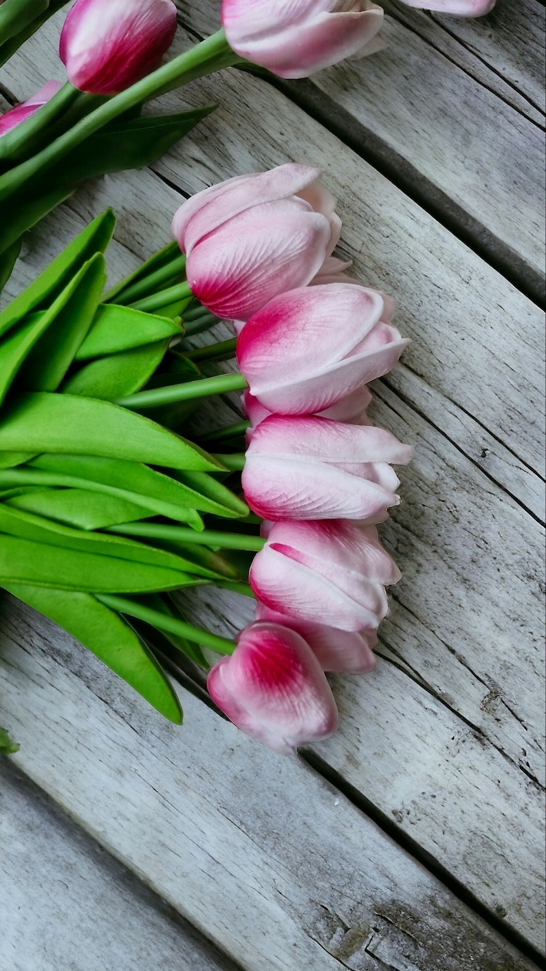 May include: A bouquet of pink and white tulips with green stems on a weathered white wooden surface.