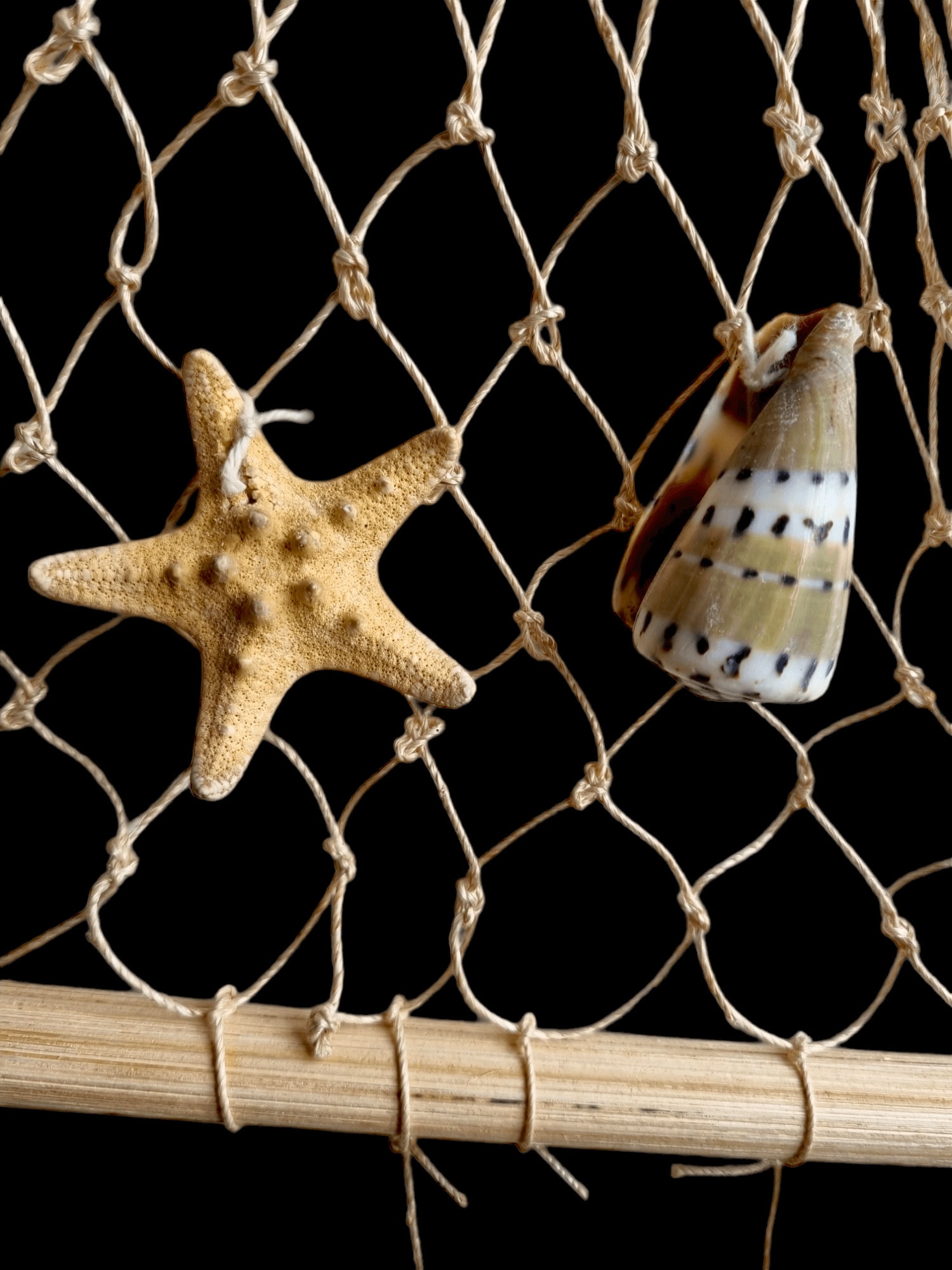 Hanging Fishing Net With Natural Sea Shells, Wooden Fish, Starfish