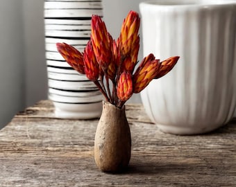 Dried PROTEA PENDULA Stems – Fiery Red Flowers for Autumn, Winter Arrangements, Wedding Bouquets, Rustic Vase Decor, Home Displays and Decor