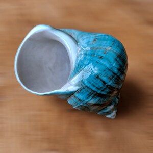May include: A teal blue seashell with a white interior. The shell has a smooth, glossy finish and a textured, striated pattern.