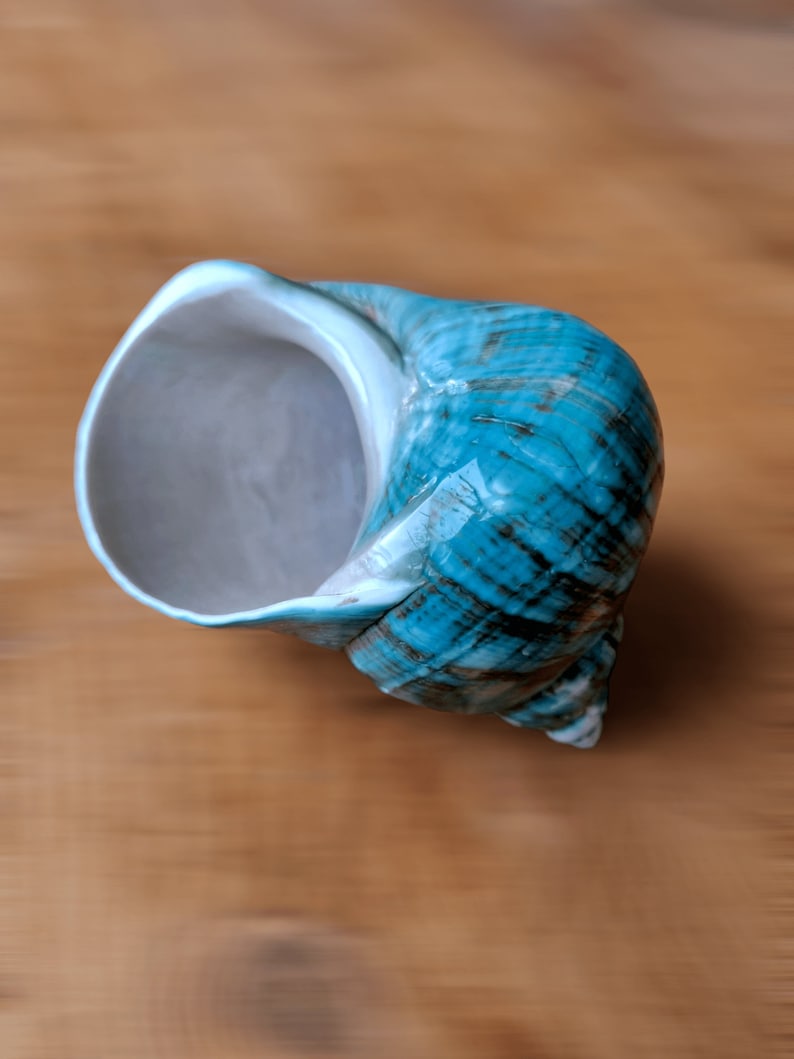 May include: A teal blue seashell with a white interior. The shell has a smooth, glossy finish and a textured, striated pattern.