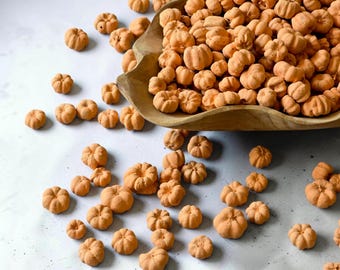 Cápsulas Putka de calabaza especiadas, color naranja / Mini calabazas deshidratadas / Relleno perfumado para coronas, cuencos y tarros