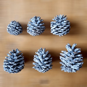 Small PINE CONES - Stone Washed White, Natural Decorative Pinecones for Crafts, Autumn Decor, Wreath, Potpourri, Eco-friendly Rustic Wedding