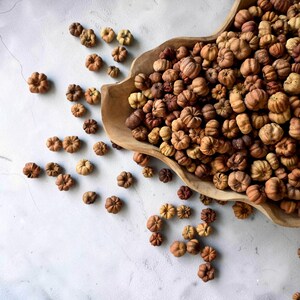 Puede incluir: Un cuenco grande de madera lleno de numerosas calabazas decorativas pequeñas, secas y de color marrón. Varias de estas calabazas secas están esparcidas fuera del cuenco, mostrando varios tonos de beige, marrón claro y marrón oscuro.