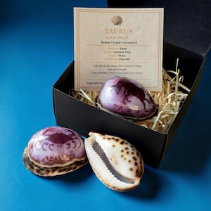 May include: A gift set featuring two painted seashells, one with a Taurus design and the other with a Cancer design, and a natural shell. The set includes a card with Taurus zodiac details, all presented in a black box.