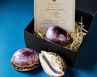 Zodiac Tiger Cowrie Shell Gift Box | Star Sign Engraved | Good Luck Charm | Ocean Talisman