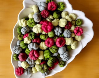 Puede incluir: Un plato blanco en forma de hoja lleno de calabazas en miniatura de colores. Las calabazas son en tonos rosa, verde, gris y amarillo. El texto "Fluff & Co" está en la parte inferior de la imagen.