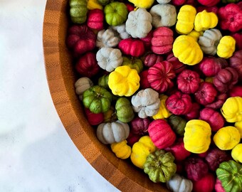 Red Green Grey Yellow Putka | Dried Mini Pumpkins Mix | Potpourri Jar and Tray Filler