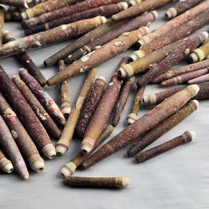 May include: A collection of sea urchin spines in various shades of brown, purple, and tan. The spines have a cylindrical shape with a lighter-coloured tip. Some spines show hints of red and white. The objects are scattered on a light grey surface.