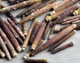 Pencil Sea Urchin Spines 4-8cm | Natural Curiosities | Jewellery Making Resin Art