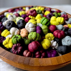 Colourful MINI PUMPKIN Pods – Mixed Dried Putka Pods for Crafts, Wreaths, Potpourri, DIY Home Decor, Autumn Bowl Decor and Fall Decorations