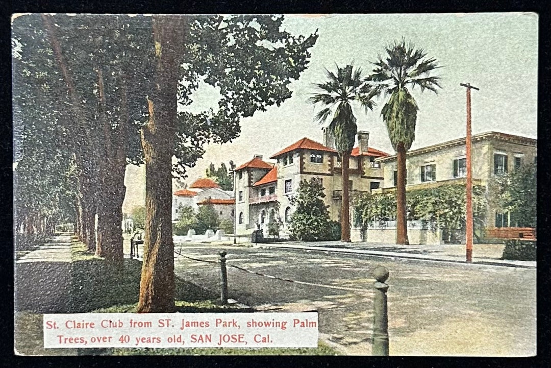 St. Claire Club From ST. James Park Showing Palm Trees Over Etsy
