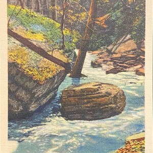 May include: A postcard depicting a scenic view of a river flowing through a forest. The river is surrounded by rocks and trees, and the water is a vibrant blue. The postcard features the text "SPLIT ROCK, CLIETY FALLS STATE PARK, MADISON, IND."