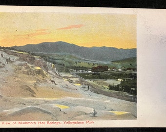 View of Mammoth Hot Springs, Yellowstone Park - Vintage Postcard