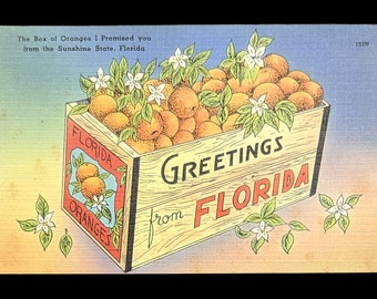 Greetings from Florida with Florida Oranges - Digital Vintage Florida MarketingPrint