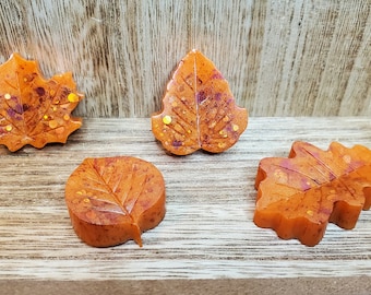 De bladmagneetreeks van de daling
