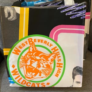 Vintage Beverly Hills 90210 material Lined Market/Tote Bag