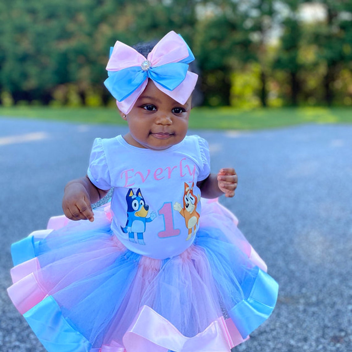 Bluey and Bingo Birthday outfit baby girls Bluey and Bingo Etsy