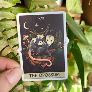 Possum Sticker, Tarot Card Sticker, Tarot Possum Sticker, Tarot Stickers