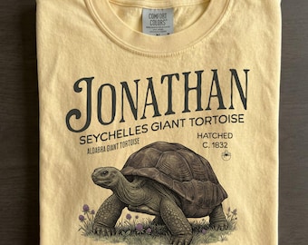 Tortoise Tシャツ グレー Tortoise Vintage Tee, Jonathan the Tortoise Shirt, Seychelles