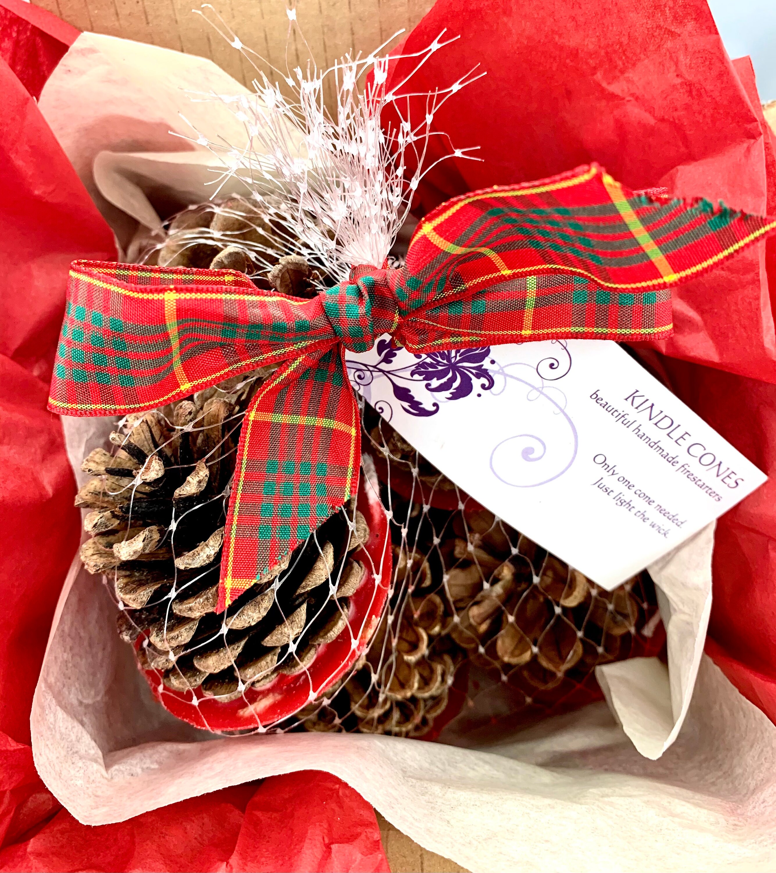 Pine Cone Aromatic Fire Starters. Etsy