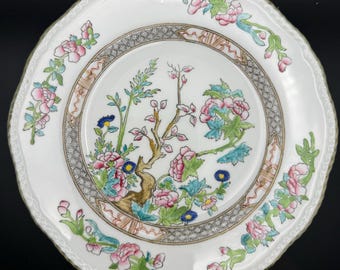 Coalport Indian Tree 8.75” Luncheon Plate – Scalloped Edge – Made in England - Beautiful Condition