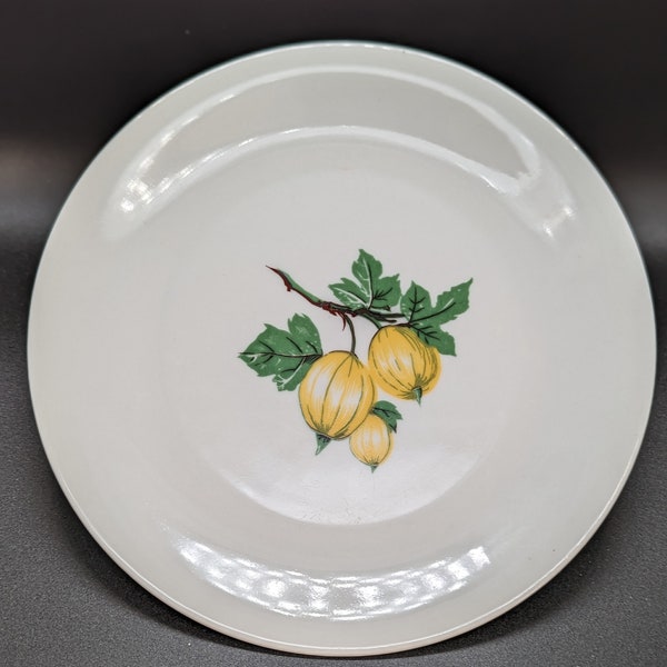 Seltmann Weiden  Bavarian Fruit 7-1/2” Salad Plates – Western Germany – Ca. 1949-1954