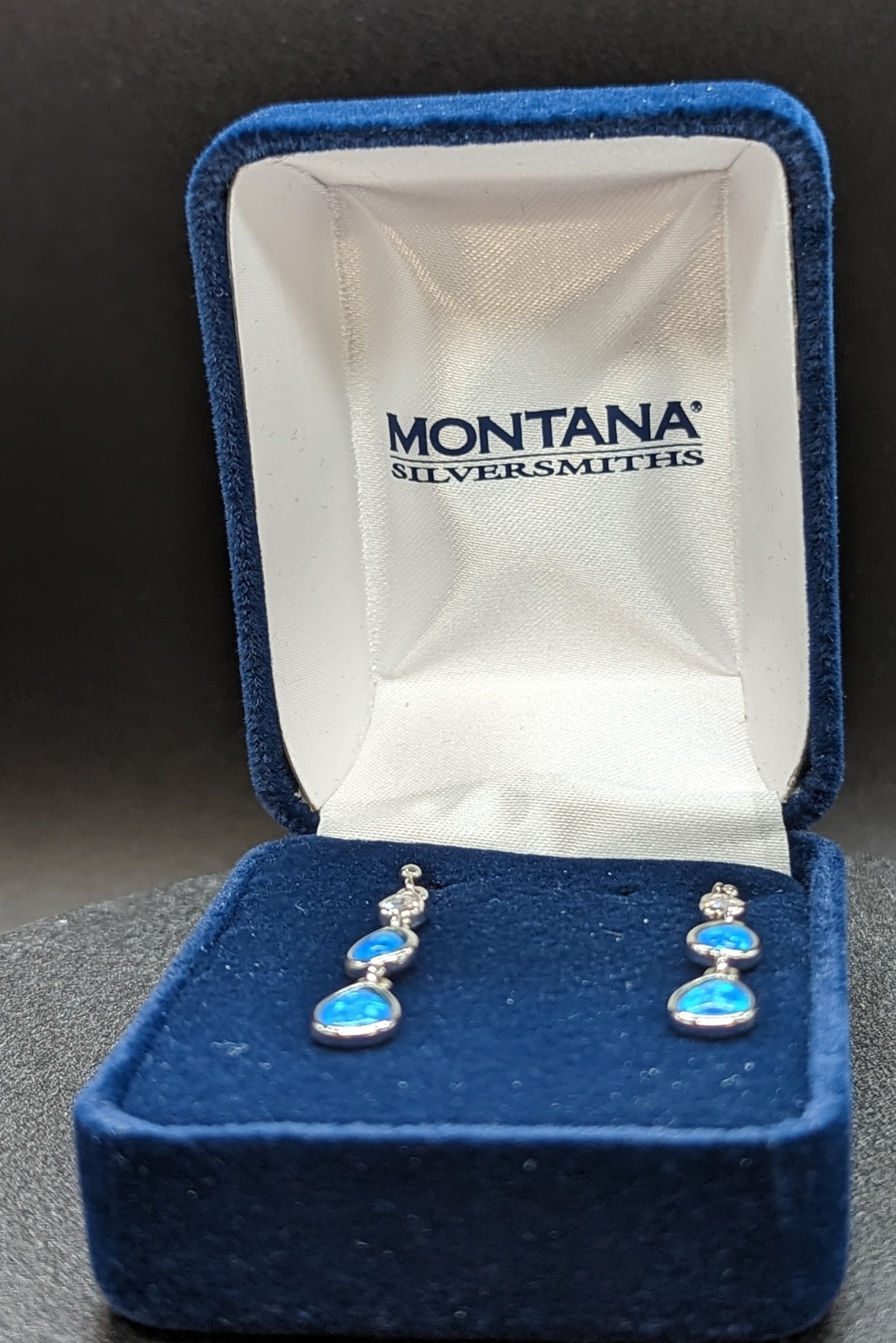 Montana Silversmith Earrings 2025