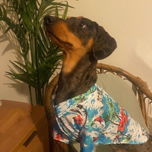 Small Dog Puppy Cat Hawaiian shirt, Beach Summer shirt for small pets. Cute tropical pet clothing