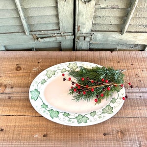 Lovely Vintage 14.25&quot; Scammell&#39;s Trenton China Ironstone Restaurant Ware Platter With Beautiful Ivy Design - Vintage Ironstone, Diner Ware