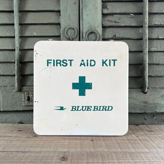 Fantastic White & Teal Vintage Wall Mount Bluebird School Bus