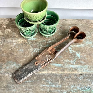 Antique English Hand Forged Metal Wool Shears With Leather Sheath, Burgon & Ball, Made in England - Antique Tool, Primitive Tool, Spring